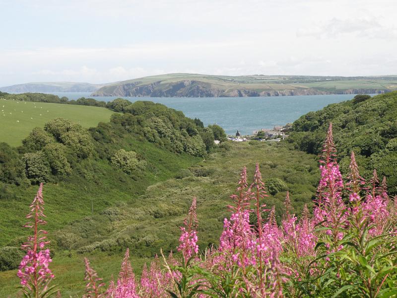 20100717b Dinas head rechts.JPG